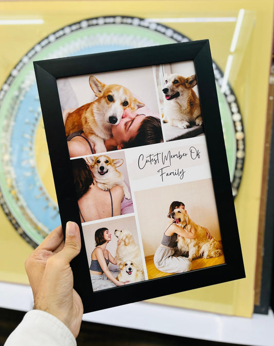 Pet Frame Collage